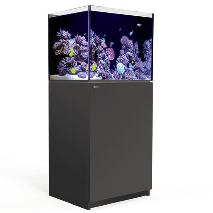 Red Sea Aquariums Red Sea Aquariums